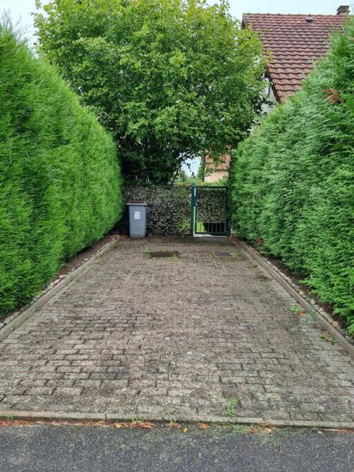 Gemuetliche Oase - Geraeumige Unterkunft Sarreguemines Exterior foto