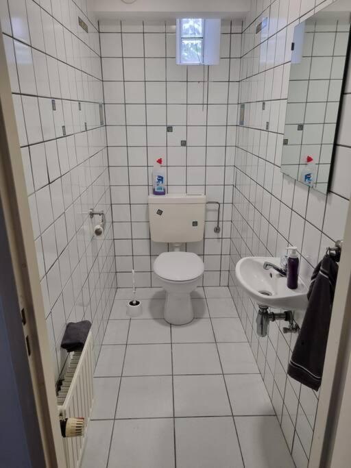 Gemuetliche Oase - Geraeumige Unterkunft Sarreguemines Exterior foto